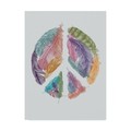 Trademark Fine Art Rachel Caldwell 'Feathers For Peace' Canvas Art, 35x47 ALI43948-C3547GG
